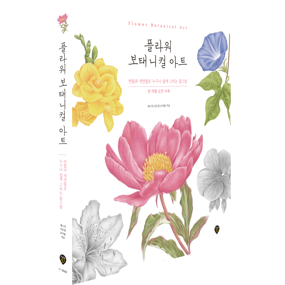 ��ǰ ������